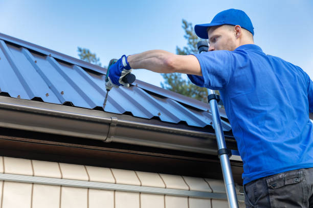Best Gutter Installation and Repair  in Mascoutah, IL