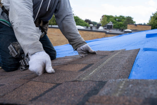 Best Metal Roofing Installation  in Mascoutah, IL